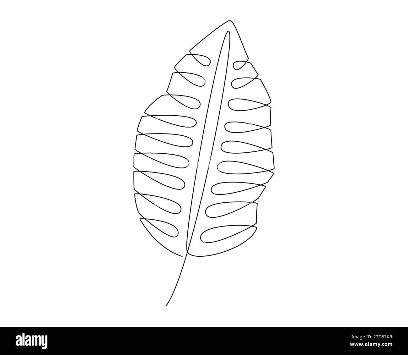Symbol für tropisches Blatt über weißem Hintergrund, Linienart, Vektorgrafiken Stock Vektor