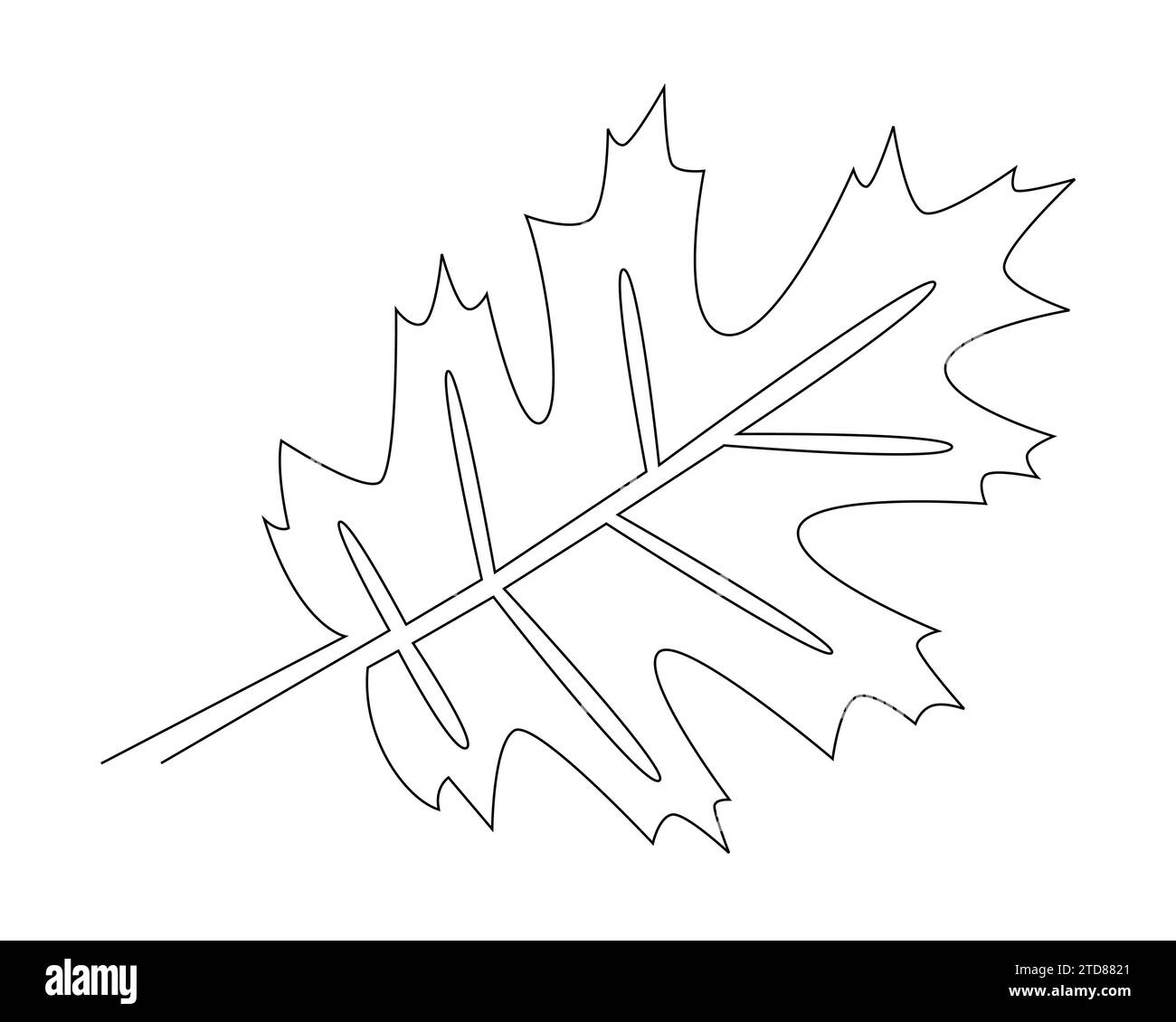 Einzelne durchgehende Linienzeichnung von Eichenblättern. Vektorabbildung. Für tropische Pflanzenmotive Stock Vektor