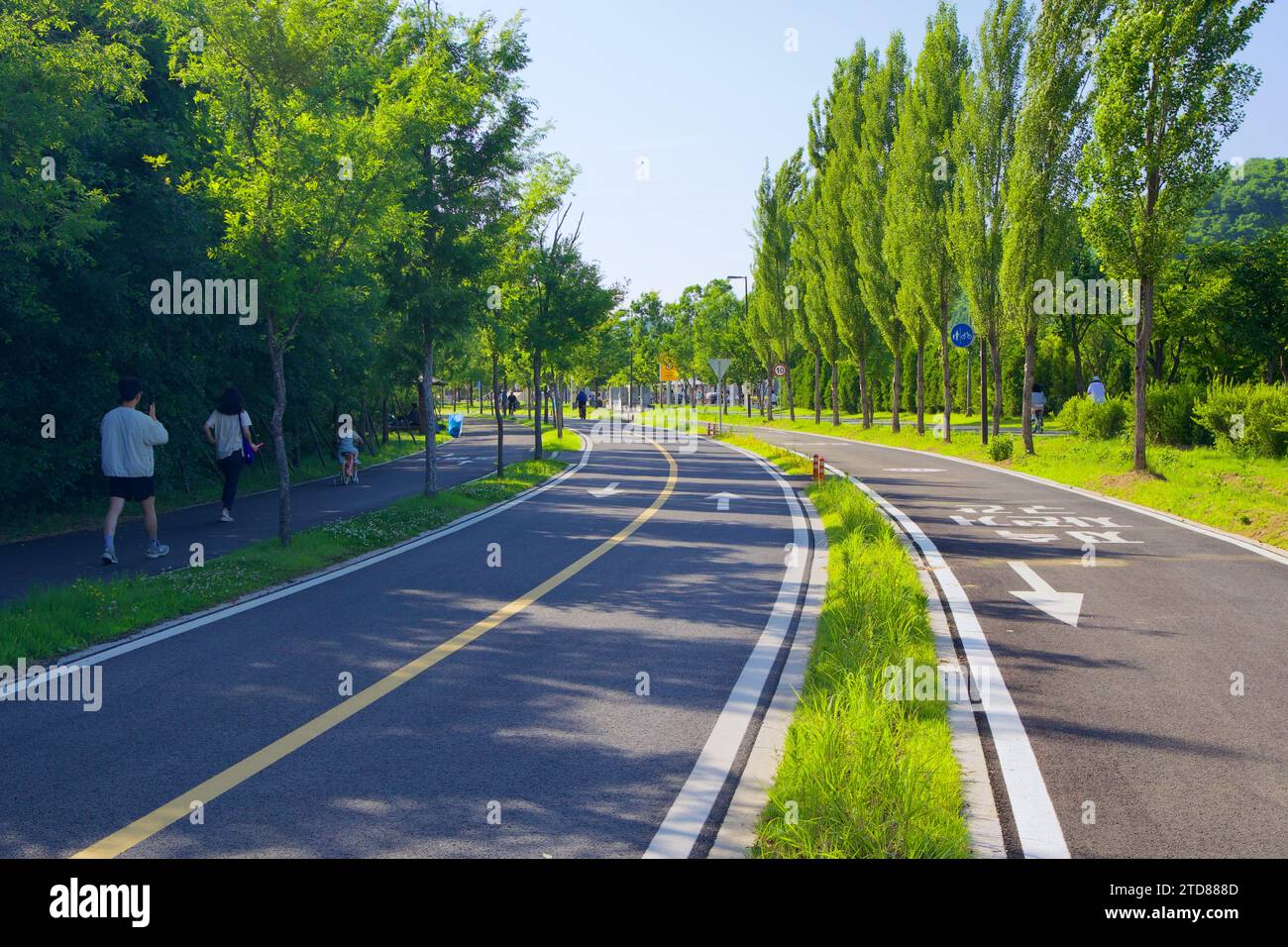 Seoul, Südkorea - 3. Juni 2023: Ein kurvenreicher Radweg mit ausgeprägten schnellen und langsamen Spuren führt durch den Nanji Hangang Park, flankiert von grünen Bäumen, Wal Stockfoto