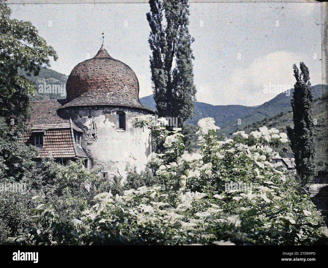 Thann, Oberrhein, Elsass, Frankreich Der Hexenturm, Erster Weltkrieg, Turm, Front, Rampart, France, Thann, Maison des Sorcières, Thann, 06.06/1917 - 06.06.1917, Castelnau, Paul, 1917 - Elsass - Paul Castelnau (fotografischer Teil der Armee) - (Juni), Autochrome, Foto, Glas, Autochrome, Foto, positiv, Horizontal, Format 9 x 12 cm Stockfoto