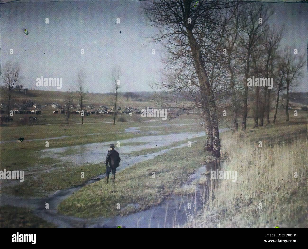 Lempire aux bois Fotos und Bildmaterial in hoher Auflösung Alamy