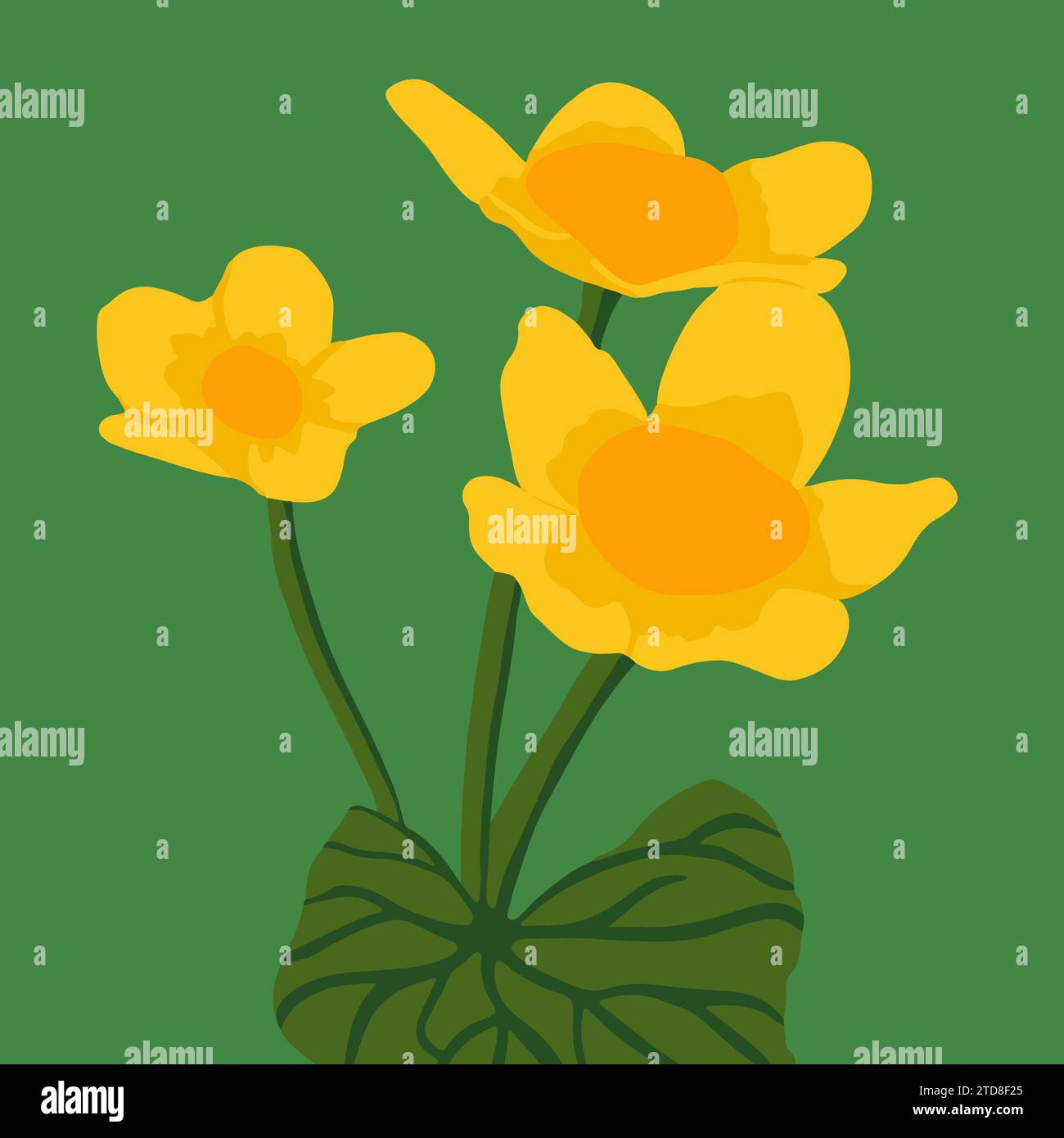 Vektorillustration einer Caltha palustris auf grünem Hintergrund. Stock Vektor