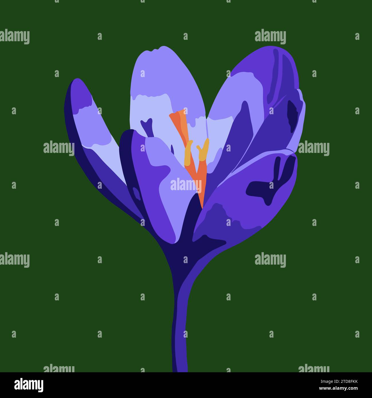 Vektorillustration einer Krokusblume auf grünem Hintergrund. Stock Vektor