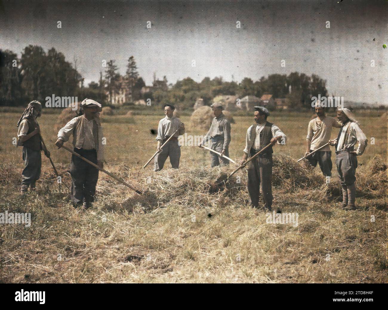 Soissons, Aisne, Frankreich Team von Bauern aus dem 143. Territorium sammeln Heu, Kleidung, wirtschaftliche Aktivität, tägliches Leben, HD, Menschen, erster Weltkrieg, Gesellschaft, Militäruniform, Landwirtschaft, Vieh, Arbeitsszene, Hay, existiert in High Definition, ländliches Leben, Gruppenporträt, Feld, Arbeitskleidung, Landmaschinen, Rückansicht, Mann, Armee, Frankreich, Soissons, Landwirtschaftsteam des 143. Territoriums, Soissons, 06/1917 - 30.06.1917, Cuville, Fernand, 1917: Aisne - Fernand Cuville (fotografischer Teil der Armee) - (mai-Juli), Autochrome, Foto, Glas, Autochrome, Foto, positiv, Stockfoto