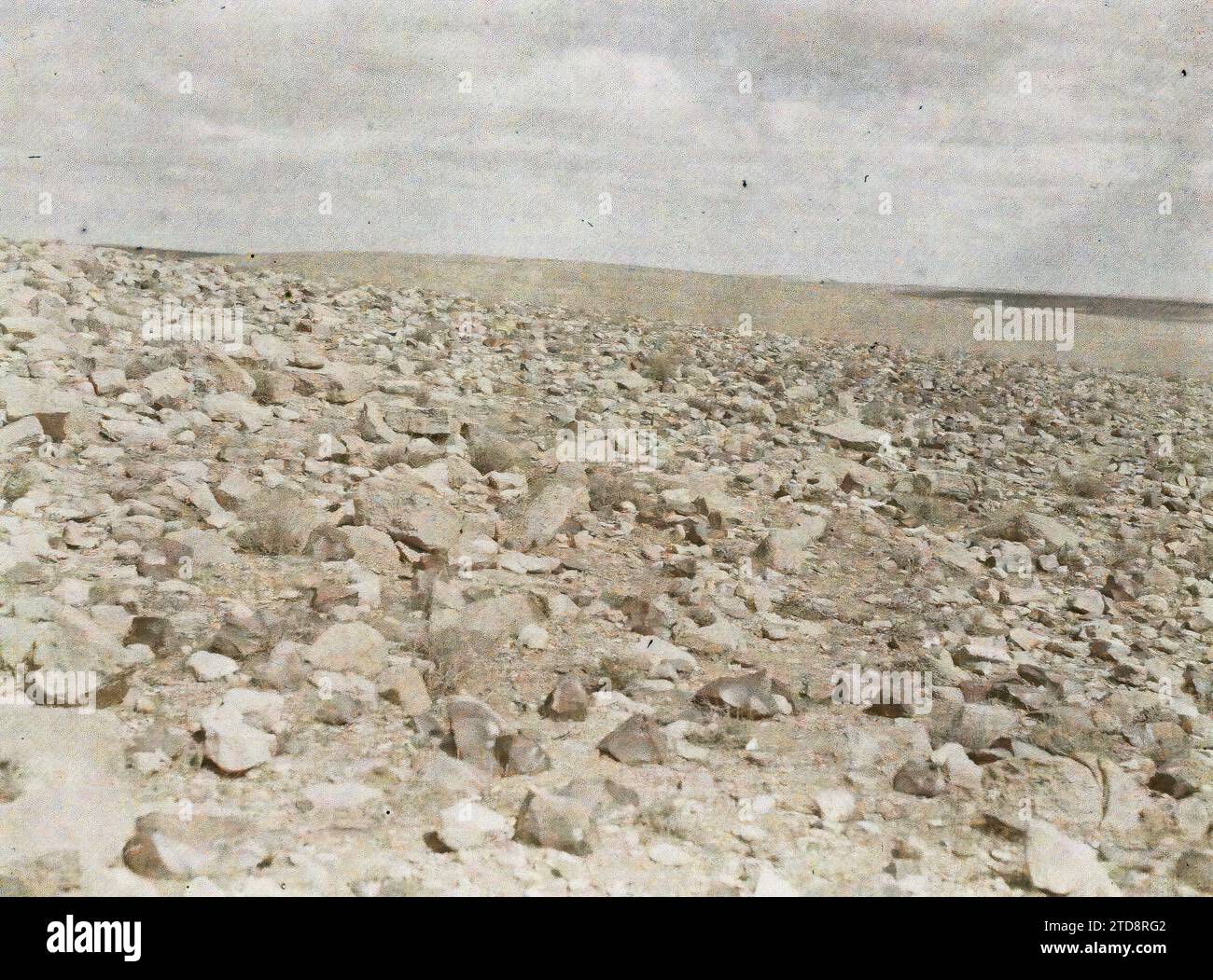 Umgebung von Ma' an, Arabien (das heutige Jordanien) Panorama in der Nähe des französischen Lagers Oueida, Natur, Umwelt, erster Weltkrieg, Landschaft, Vorderseite, Arabien, Maan, vor Maan Kalksteinoberfläche bei Siby Panorama, Ma'an [région], 12.03/1918 - 12.03.1918, Castelnau, Paul, 1918 - Nahost, Ägypten, Palästina, Chypre - Paul Castelnau (fotografischer Teil der Armee) - (9. Januar-6. Oktober), Autochrome, Foto, Glas, Autochrome, Foto, positiv, Horizontal, Format 9 x 12 cm Stockfoto