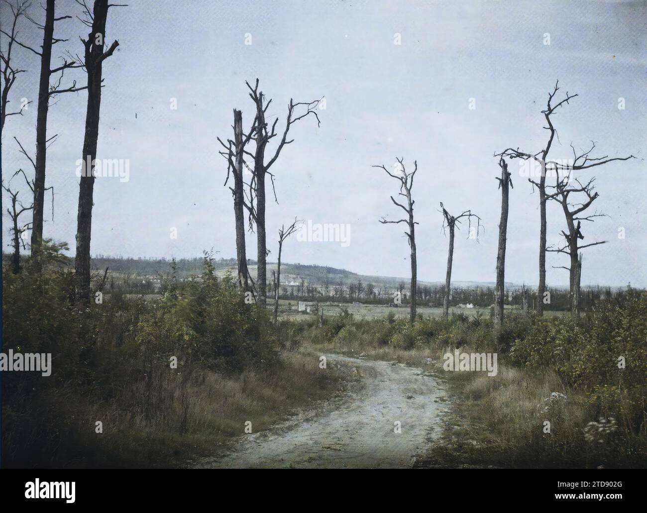 Vauclerc wald Fotos und Bildmaterial in hoher Auflösung Alamy