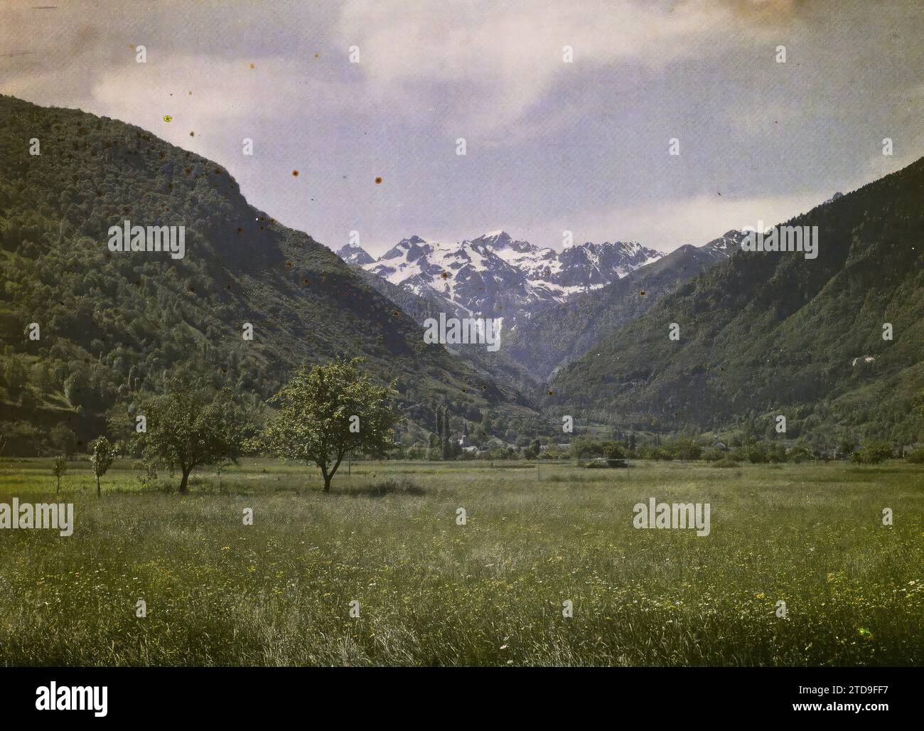 Bagnères-de-Luchon, Frankreich, Natur, Umwelt, Landschaft, Berg, Berg, Schnee, Tal, Blumenwiese, Frankreich, Bagnères-de-Luchon, 01/01/1921 - 31/12/1921, Cuville, Fernand, 1920-1921 - Charente, Gironde, Basse-Pyrénées, Hautes Pyrénées - Fernand Cuville, Autochrome, Foto, Glas, Autochrome, Foto, positiv Stockfoto