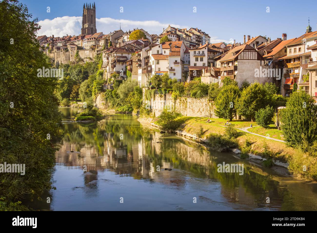 Blick auf den Fluss Saane/Sarine und Freiburg (Schweiz) Stockfoto