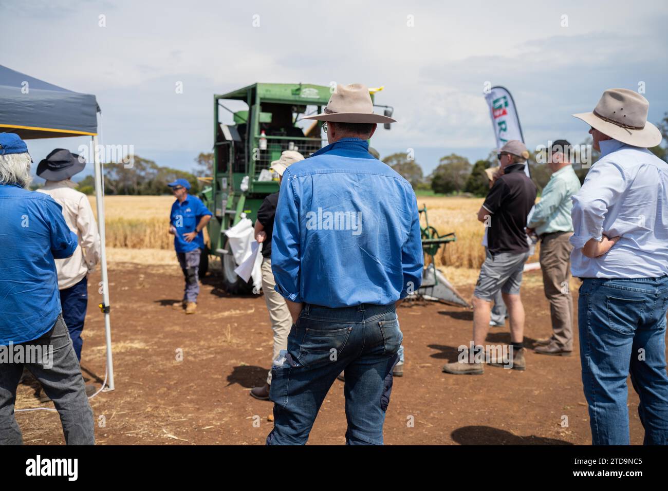 Gruppe von Landwirten in Agrarbetrieben auf einem Feld, die über Weizen und Gerste lernen Stockfoto