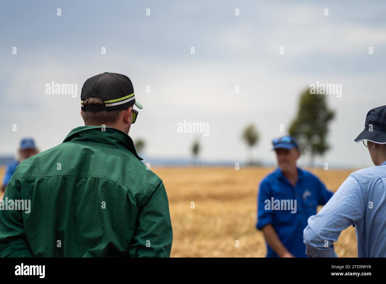 Gruppe von Landwirten auf einem Feld, die von einem Agronomen mit Versuchsanpflanzungen über Weizen und Gerste lernen Stockfoto