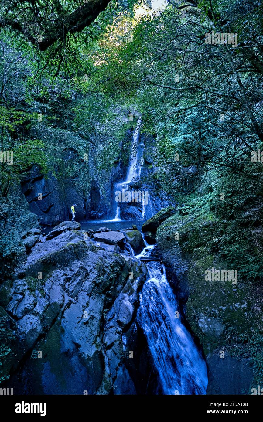 Dongsian Wasserfall auf dem Weg zum Berg Dabajianshan, Shei-Pa Nationalpark, Taiwan Stockfoto