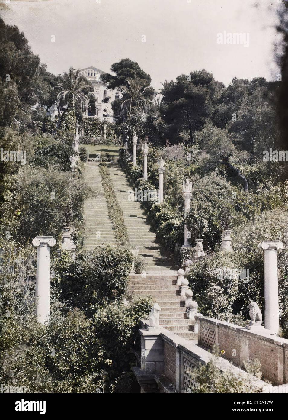 Cap Martin, Frankreich die zyprische Villa dominiert die große blühende Treppe des Gartens mit Skulpturen und der Fußgängerbrücke, Persönlichkeit, Tier, Kunst, Habitat, Architektur, Natur, Umwelt, Statue, Unternehmenspersönlichkeit, repräsentiertes Tier, fantastisches Tier, Palmenhain, Kiefer, Treppe, Skulptur, Säule, Wohnung, Vogel, Villa, Becken, Löwe, skulpturierte Einrichtung, Park, Garten, Rasen, grüner Teppich, Vegetation, Botanik, Frankreich, Kapstadt. Martin, Eigentum von Frau Douine - Blumentreppe mit Säulen, Roquebrune-Cap-Martin, 10/04/1927 - 12/04/1927, Léon, Auguste, Foto Stockfoto