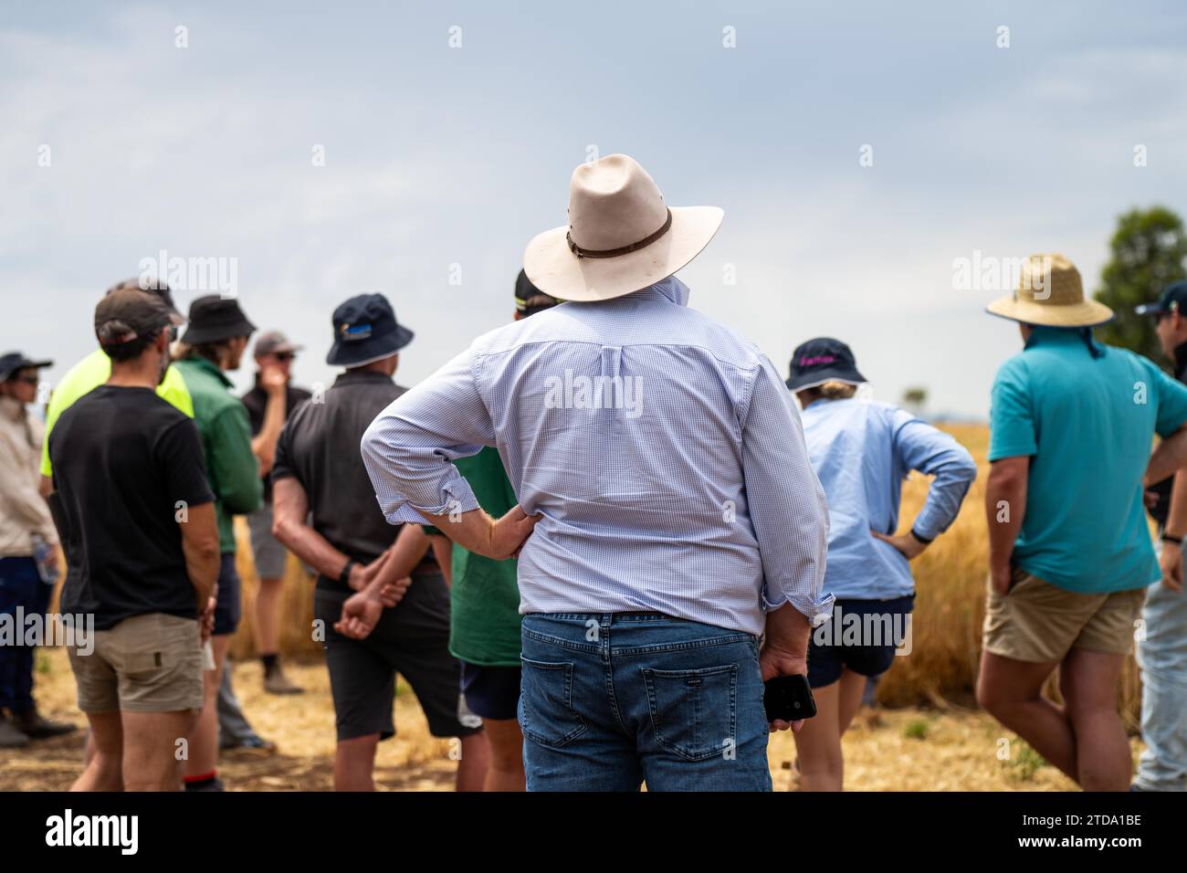 Gruppe von Landwirten in Agrarbetrieben auf einem Feld, die über Weizen und Gerste lernen Stockfoto