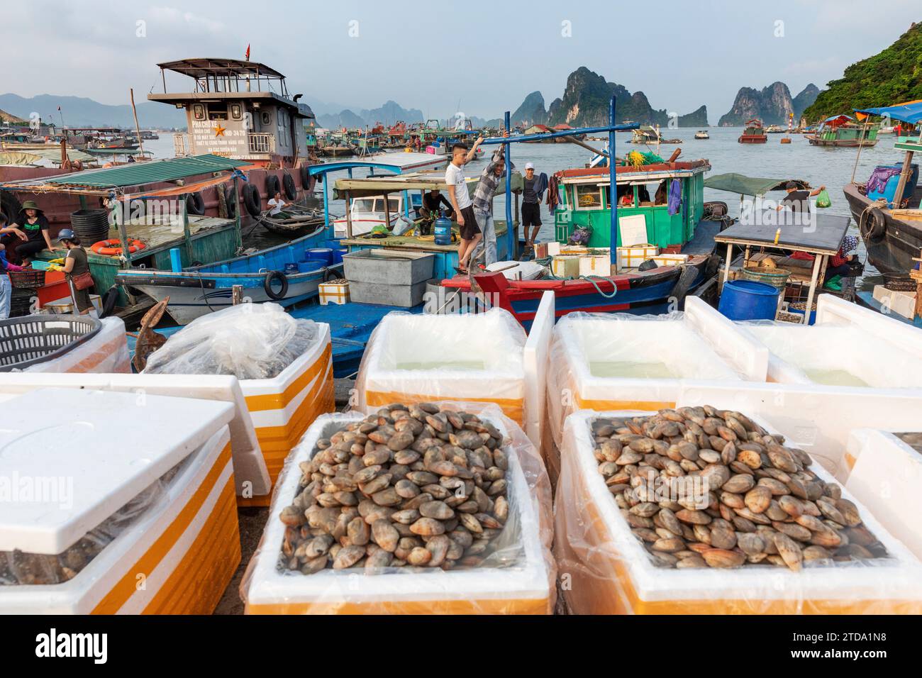 Ha lange Bucht in Vietnam. Fischer auf dem Markt bieten Meeresfrüchte, Obst, Gemüse und atc. (CTK Foto/Ondrej Zaruba) Stockfoto