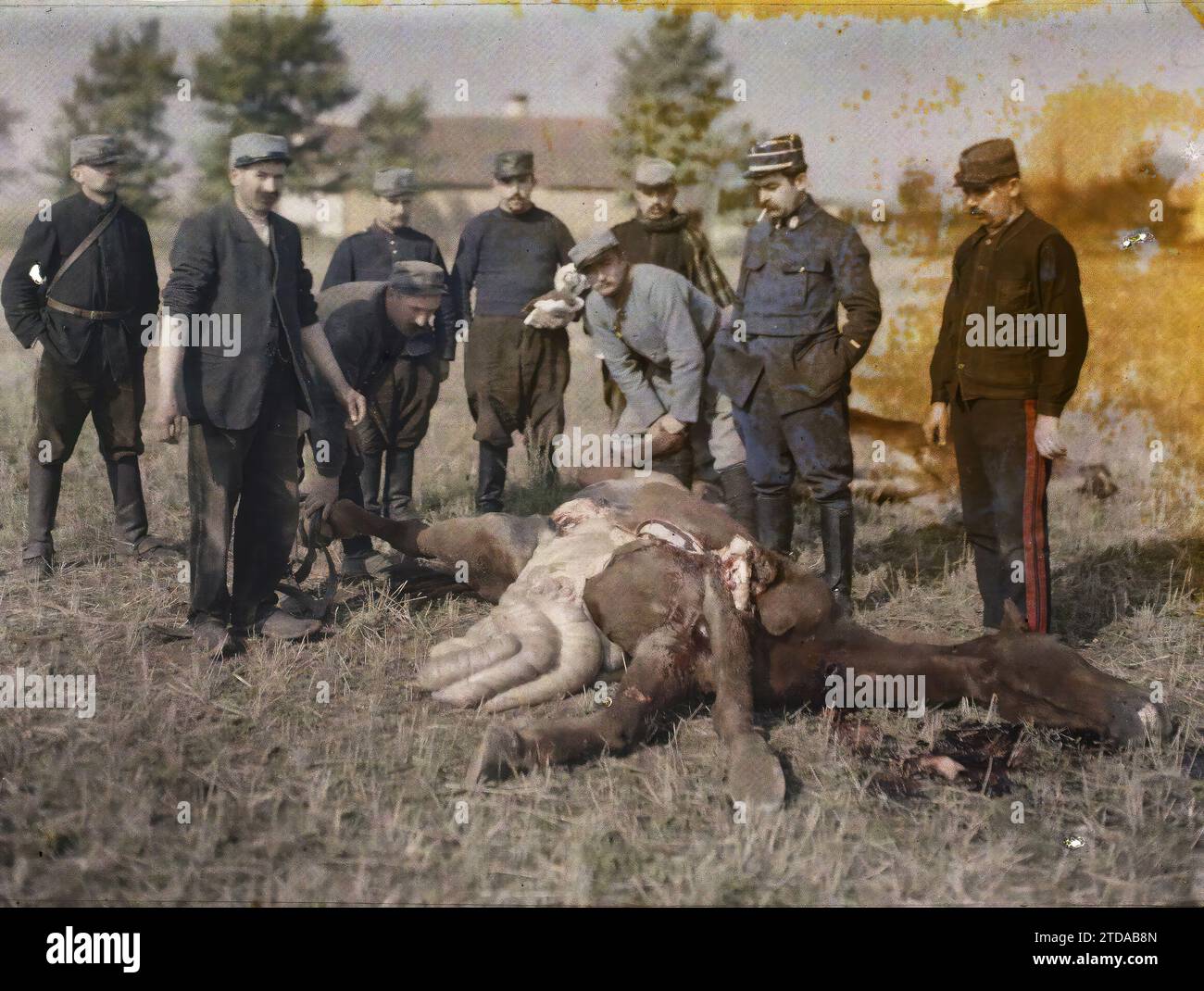 Oise, Frankreich Autopsie von getöteten Pferden, 1. Weltkrieg, Kleidung, Tier, Menschen, Pferd, Hinten Vorn, Militäruniform, Echtes Tier, Leiche, Skelett, Hairy, man, Frankreich, Autopsie von getöteten Pferden, Oise, 29/10/1915 - 29/10/1915, Passet, Stéphane, Fotograf, 1915 - Picardie - Stéphane Passet, Autochrome, Foto, Glas, Autochrome, Foto, positiv, Horizontal Stockfoto