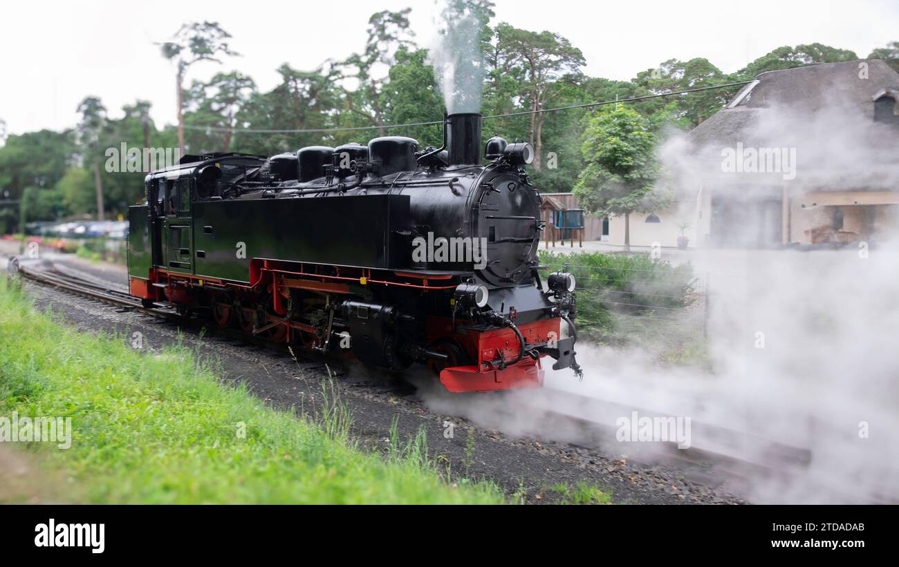 Ein schwarzer Zug, der die Bahngleise entlang fährt, neben einem üppigen grünen Feld Stockfoto