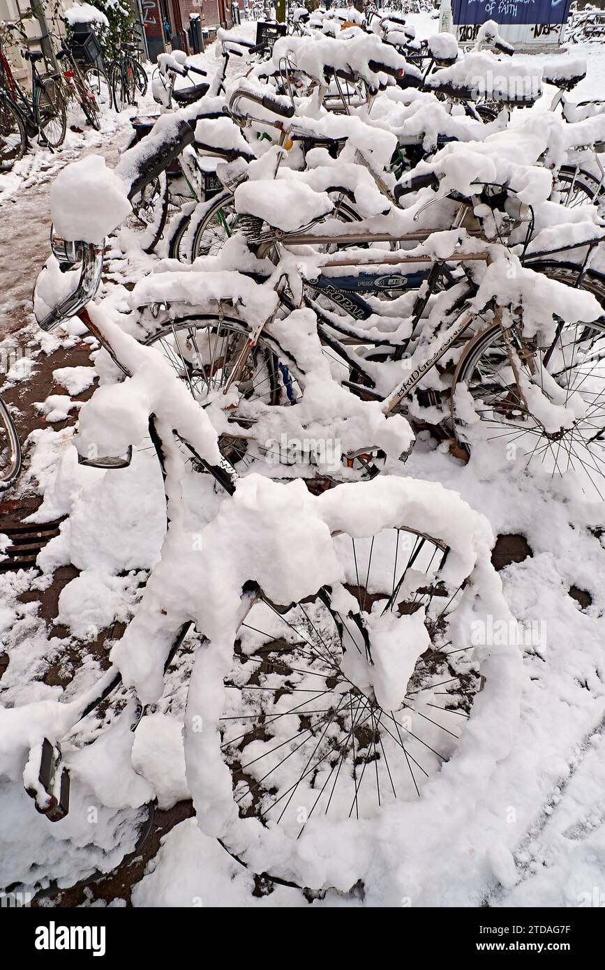 Fahrräder, die im Winter im Amsterdamer Stadtzentrum vom Singel Kanal verschneit sind Stockfoto