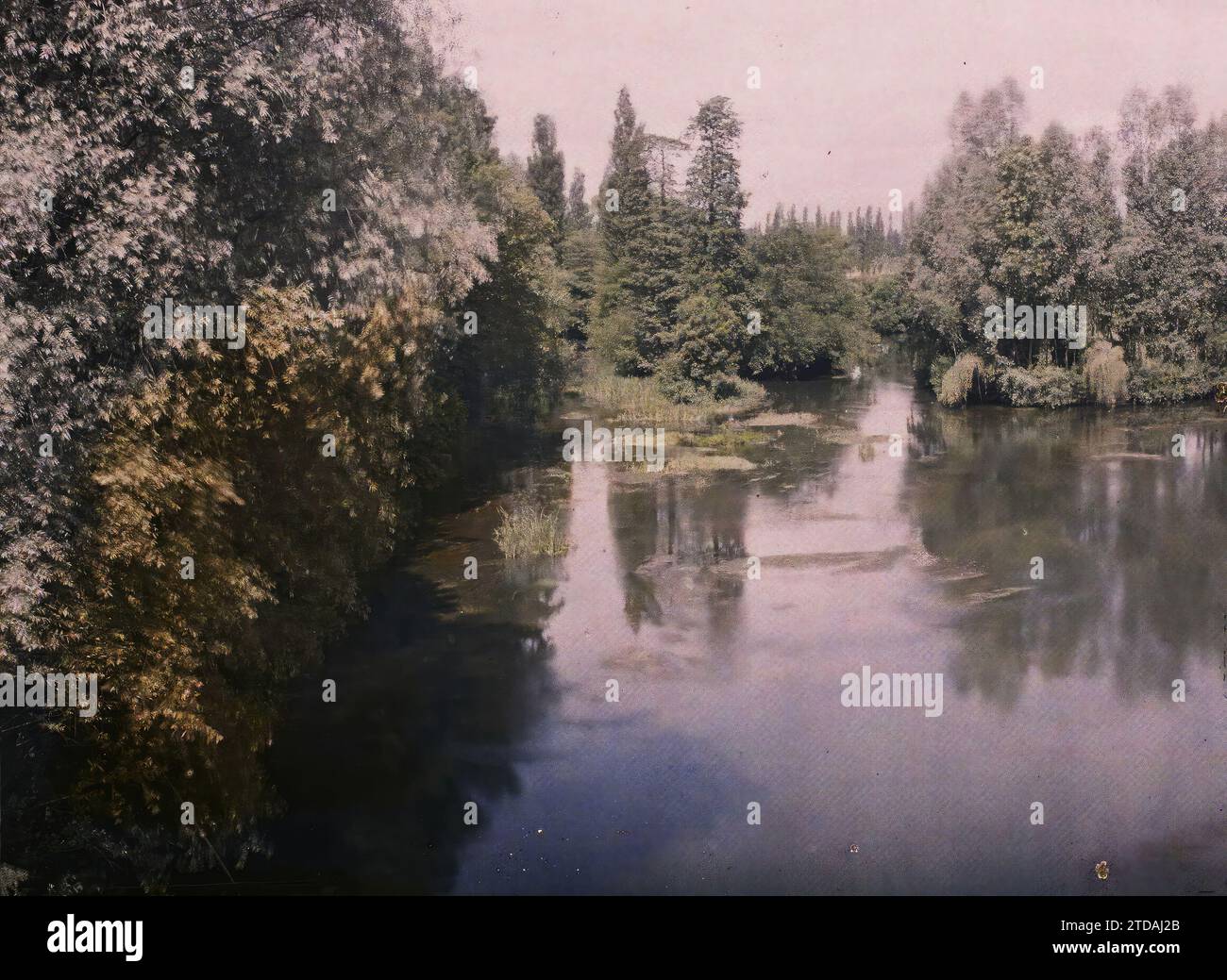 Angoulême, Charente Ufer der Charente (flussabwärts), Natur, Umwelt, Fluss, Wald, Holz, Hydrographie, Vegetation, Botanik, Frankreich, Angoulême, Ufer der Charente (stromabwärts), Angoulême, 02/06/1916 - 02/06/1916, Léon, Auguste, Fotograf, 1916 - Provinzen Frankreich - Jean Brunhes, Auguste Léon et Georges Chevalier - (April-Juli), Autochrome, Foto, Glas, Autochrome, Foto, positiv Stockfoto