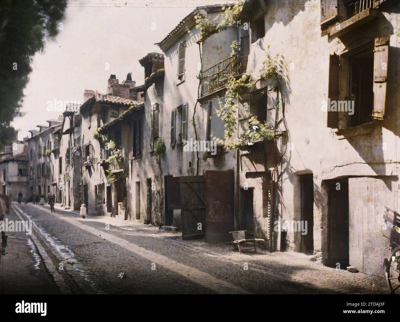 Périgueux, Dordogne, Frankreich, Habitat, Architektur, Wohnung, asphaltierte Straße, Trellis, Straße, Bezirk, Reben, Frankreich, Périgueux, Rue du Lys aus der Erde, Périgueux, 03.06/1916 - 03.06.1916, Léon, Auguste, Fotograf, 1916 - Provinzen Frankreich - Jean Brunhes, Auguste Léon et Georges Chevalier - (April-Juli), Autochrome, Foto, Glas, Autochrome, Foto, positiv Stockfoto