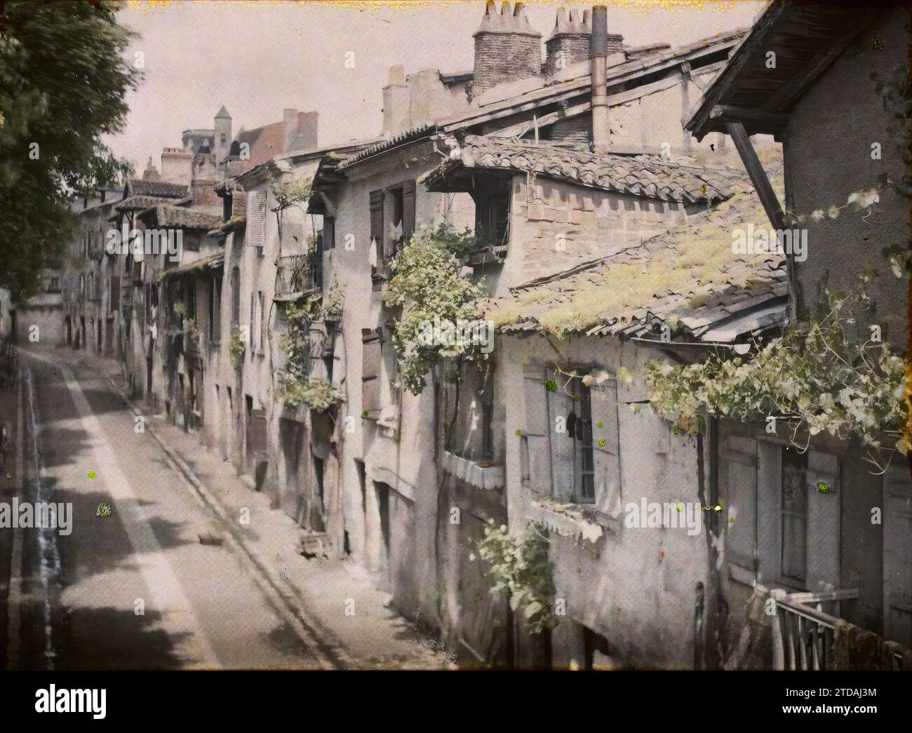 Périgueux, Dordogne, Frankreich, Habitat, Architektur, Wagen, Wohnung, asphaltierte Straße, Trellis, Straße, District, Vine, Frankreich, Périgueux, Rue du Lys, Périgueux, 06/1916 - 06.04.1916, Léon, Auguste, Fotograf, 1916 - Provinzen Frankreich - Jean Brunhes, Auguste Léon et Georges Chevalier - (April-Juli), Autochrome, Foto, Glas, Autochrome, Foto, positiv Stockfoto