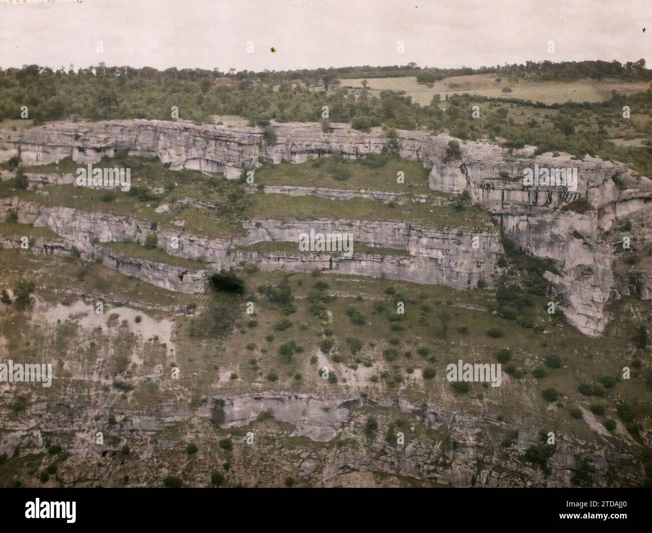 Rocamadour, Frankreich, Natur, Umwelt, Landschaft, Vegetation, Botanik, Klippe, Frankreich, Roc-Amadour, das Gesims der Klippe am linken Ufer mit den kleinen Trüffeleichen, Rocamadour, 09.06/1916 - 09.06.1916, Léon, Auguste, Fotograf, 1916 - Provinzen Frankreich - Jean Brunhes, Auguste Léon et Georges Chevalier - (April-Juli), Autochrome, Foto, Glas, Autochrome, Foto, positiv Stockfoto