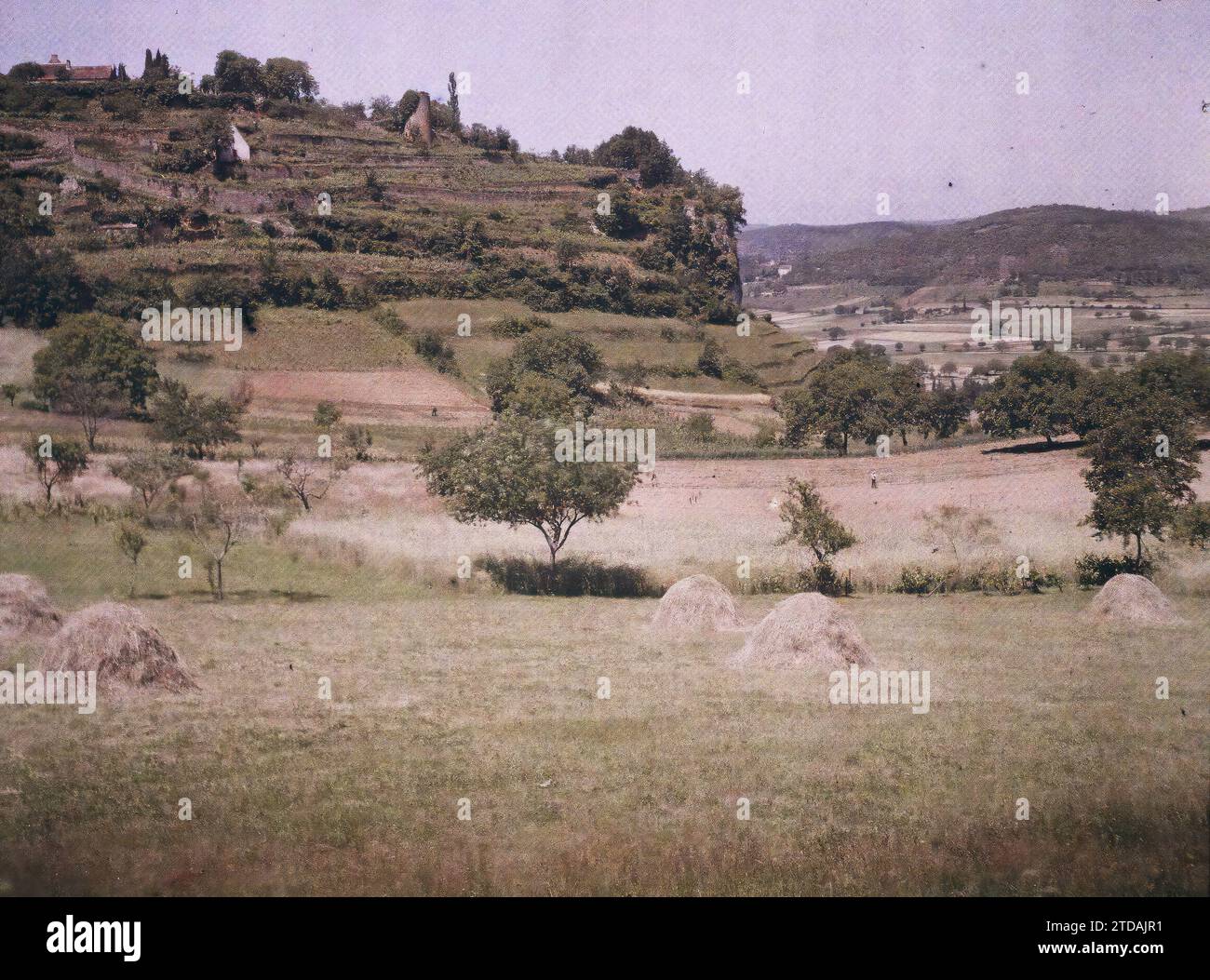 Domme, Dordogne, Frankreich, Natur, Umwelt, Wirtschaft, Landschaft, Landwirtschaft, Viehzucht, Heu, Tal, Feld, Terrassenanbau, Frankreich, Domme, Domme und das Tal, Domme, 15.06/1916 - 15.06.1916, Léon, Auguste, Fotograf, 1916 - Provinzen Frankreich - Jean Brunhes, Auguste Léon et Georges Chevalier - (April-Juli), Autochrome, Foto, Glas, Autochrome, Foto, positiv Stockfoto