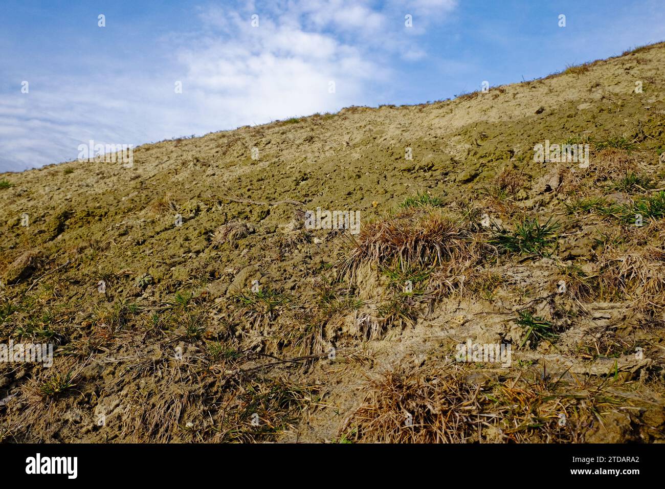 Nahaufnahme eines Berges mit trockenem Gras, mit einem klaren blauen Himmel im Hintergrund. Stockfoto