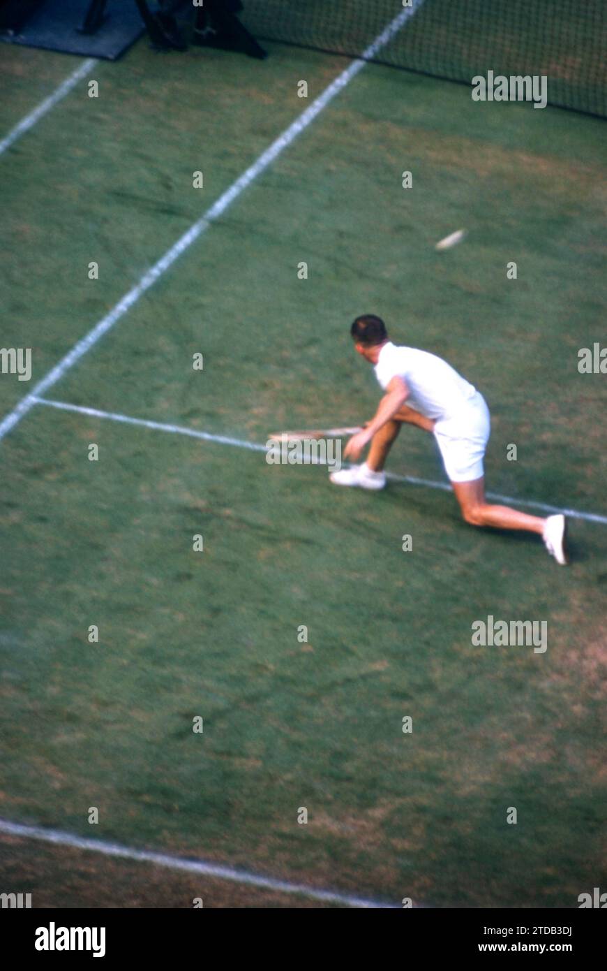 FOREST HILLS, NY - 3. SEPTEMBER: Ken Rosewall aus Australien trifft einen Rückschlag während der US National Championships der Männer 1954 am 3. September 1954 im West Side Tennis Club in Forest Hills, New York. (Foto von Hy Peskin) *** örtlicher Titel *** Ken Rosewall Stockfoto