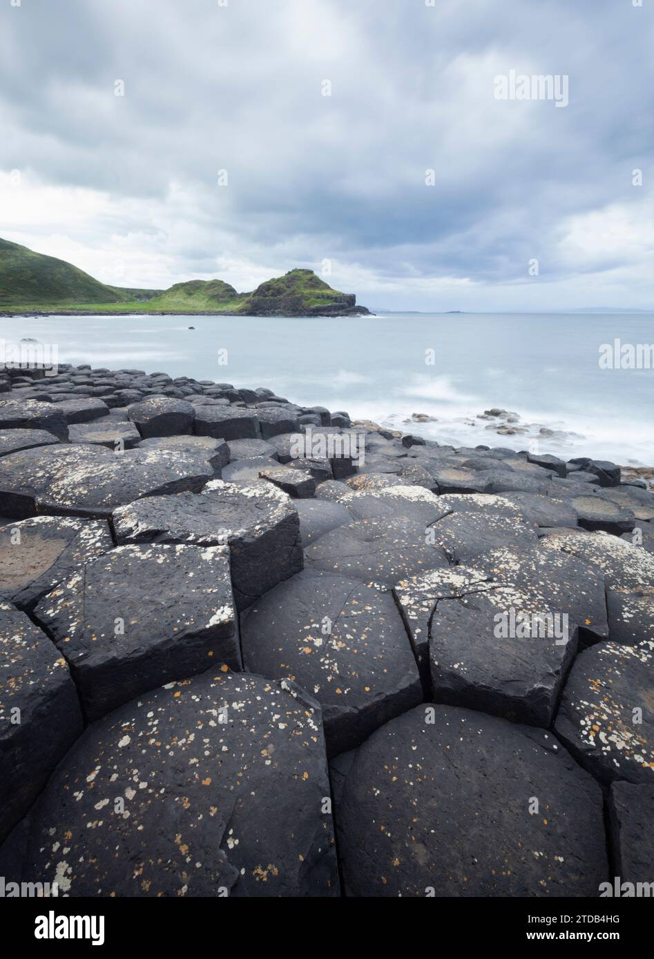 Der Giant's Causeway. County Antrim, Nordirland, Vereinigtes Königreich. Stockfoto
