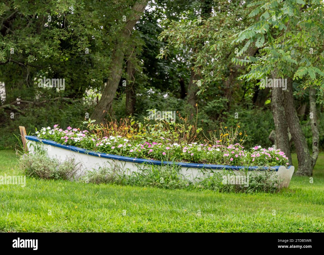 Altes Ruderboot voller Blumen Stockfoto