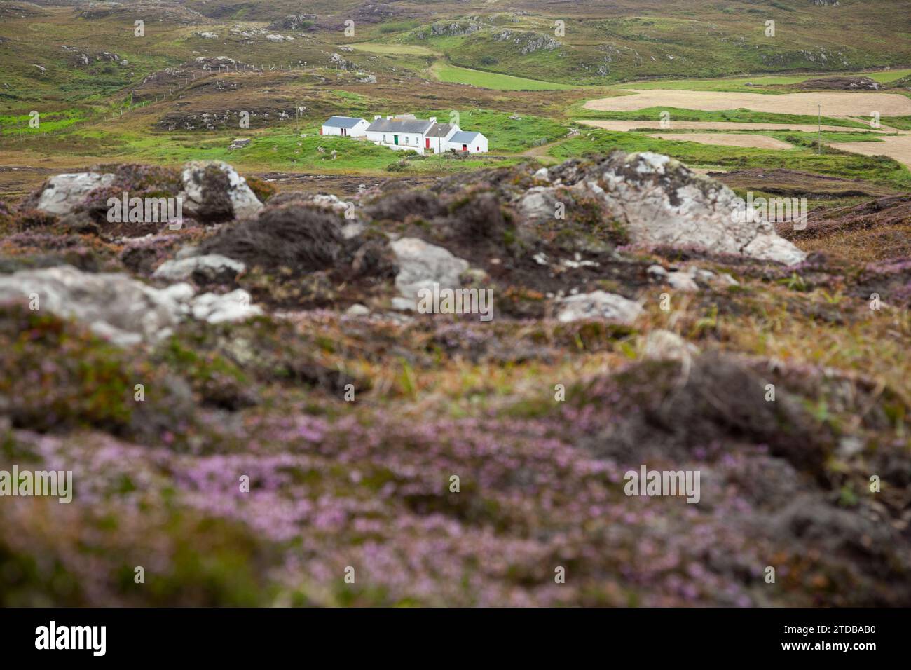 Cottages in der Nähe von Malin Head. County Donegal, Irland. Stockfoto