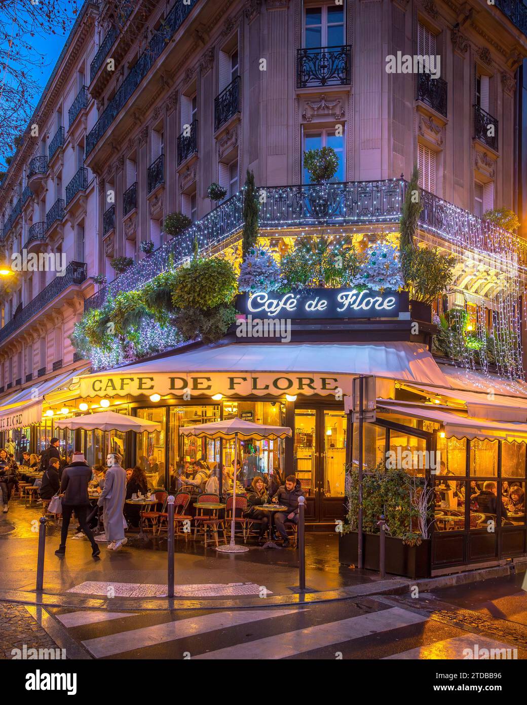 Paris, Frankreich - 10. Dezember 2023: Das Café de Flore Restaurant in Saint Germain des Pres während der Weihnachtszeit in Paris. Stockfoto