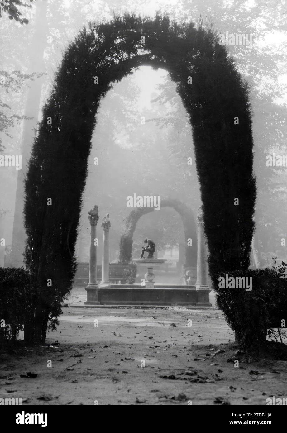 01/31/1955. Nebel im Jardin de la Isla. Foto: Marqués de Santa María del Villar. Beschreibung: Album / Archivo ABC / Marques de Santa María Del Villar Stockfoto