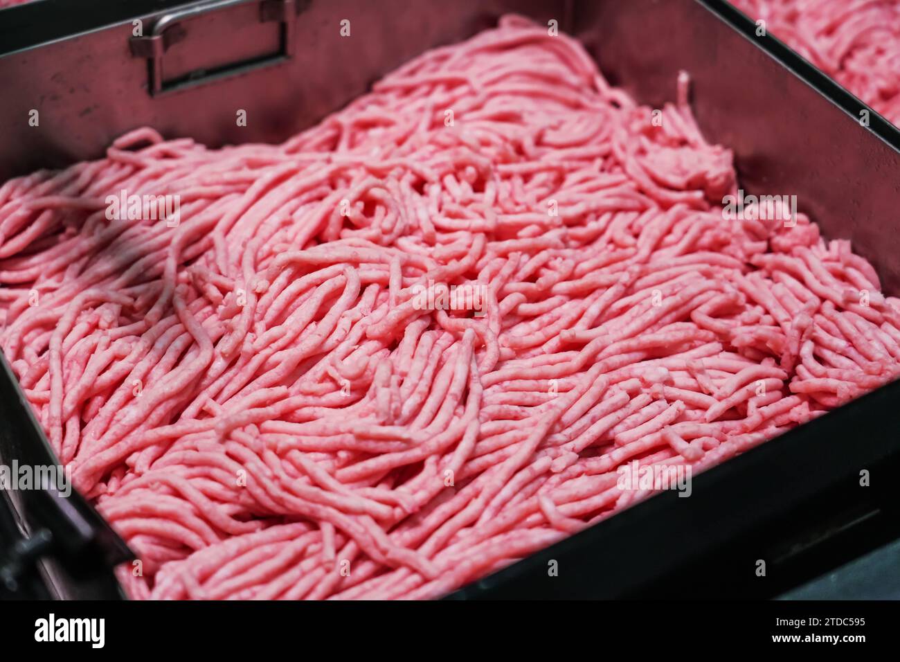Frisch zubereitetes Hackfleisch Rind- und Schweinefleisch auf der Theke Stockfoto