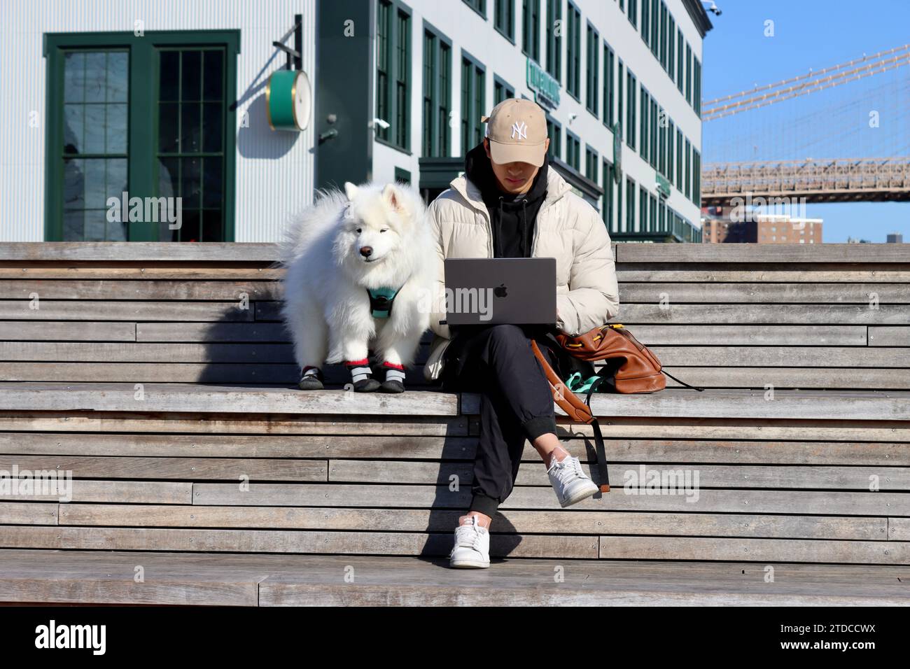 Die Baseballmütze des Jungen und der süße Hund, der an ihrem Laptop am Pier 17 am Tin Building am South Street Seaport in Lower Manhattan, New York, arbeitet Stockfoto