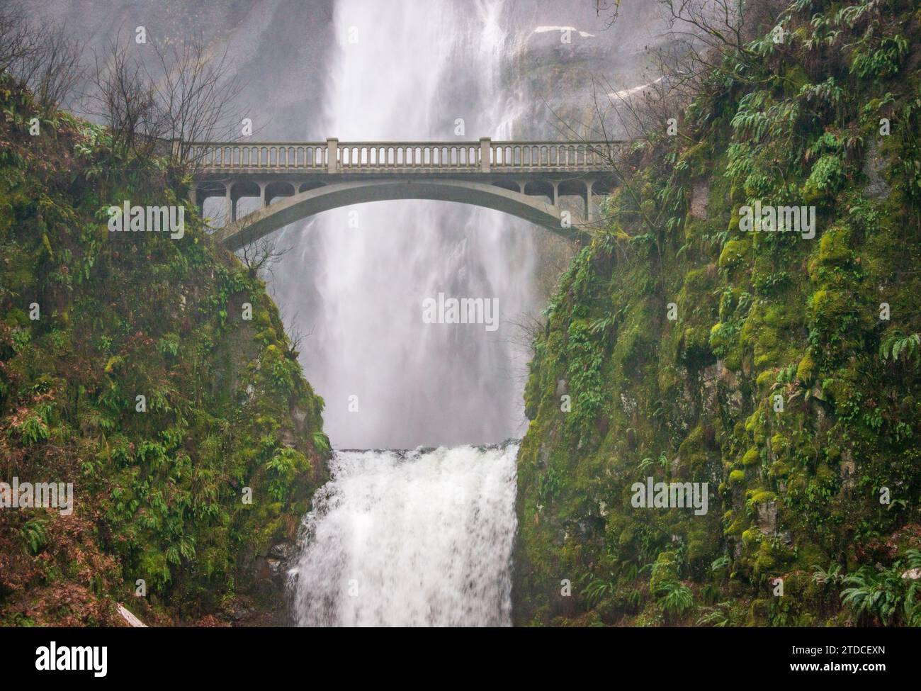 Multnomah Falls im Columbia River Gorge National Scenic Area, Oregon Stockfoto