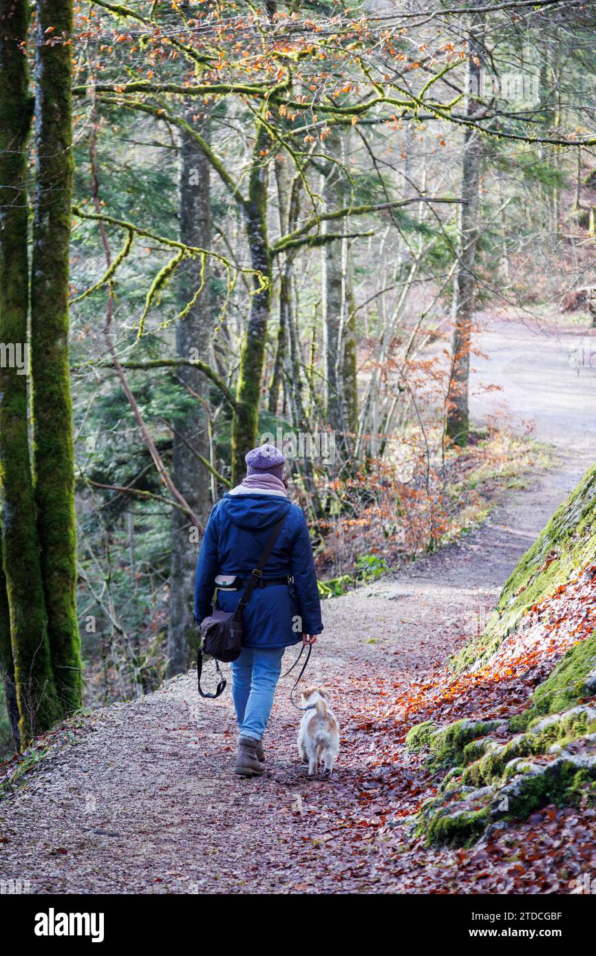 Frau, die mit ihrem Hund im Wald läuft Stockfoto