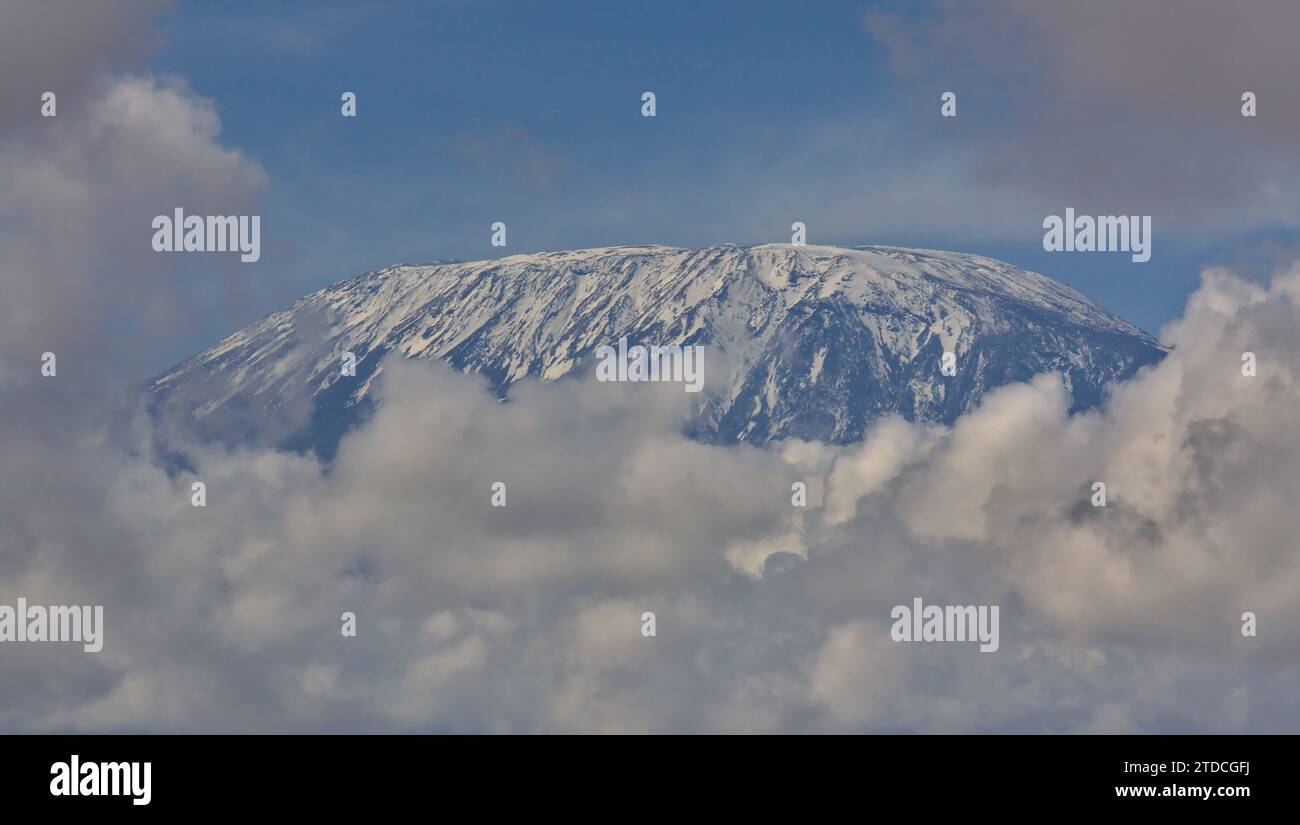 Nahaufnahme des kilimandscharo mit weißem, schneebedecktem uhuru-Gipfel vom amboseli-Nationalpark kenia Stockfoto