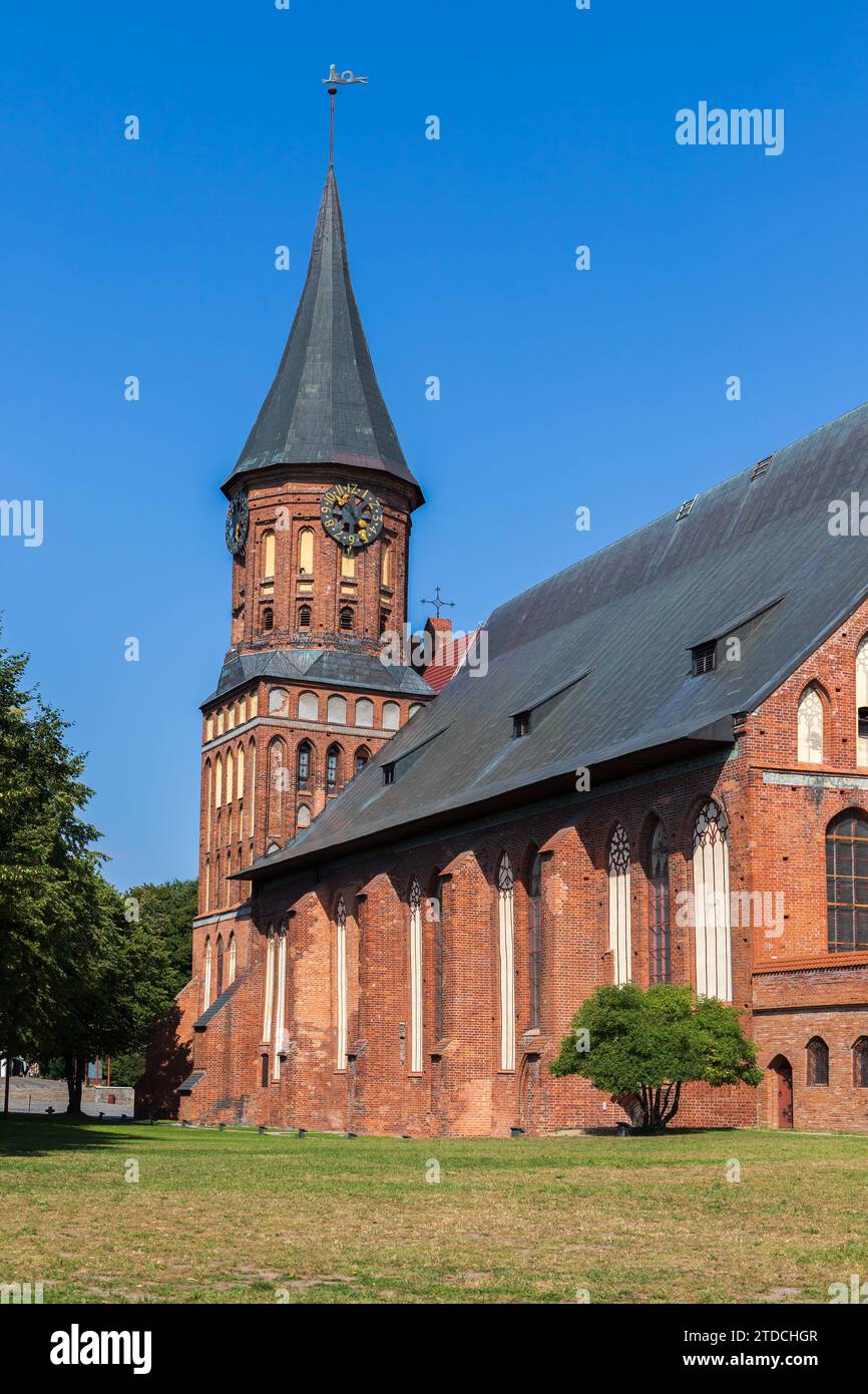 Königsberger Dom an einem Sommertag, vertikales Foto Stockfoto