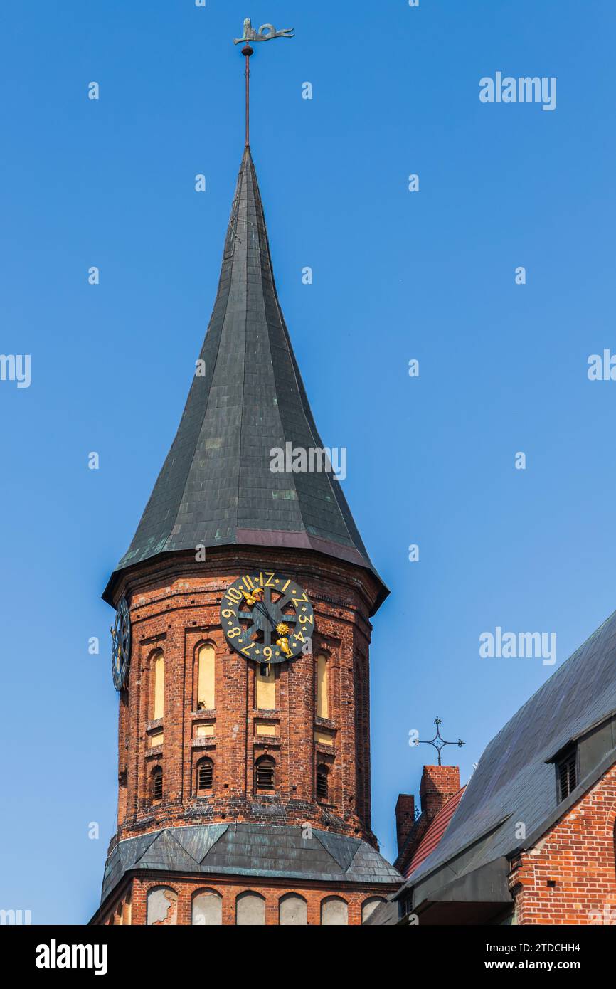 Turm und Turmuhr des Königsberger Doms an einem Sommertag, vertikales Foto Stockfoto