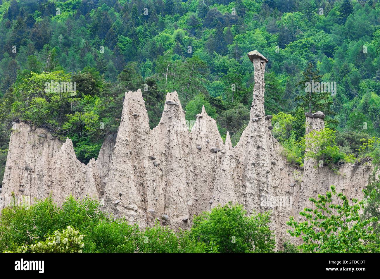 Pyramiden von Segonzano - Felsformationen Trentino Italien Stockfoto