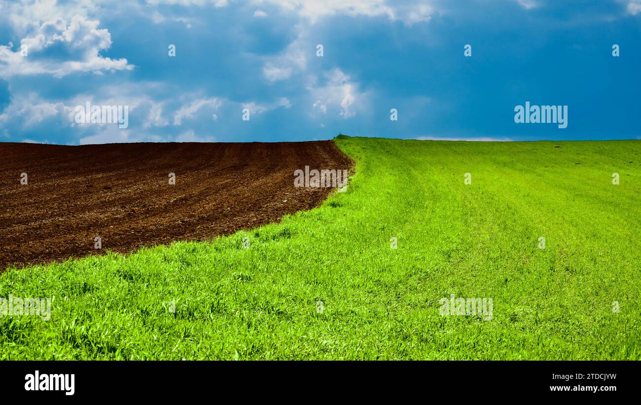 Harmonie der Farben in der Natur. Grüne Felder, gepflügtes Land und bewölkter blauer Himmel. Grünes Erntegut und Feldansicht im Frühjahr. Stockfoto