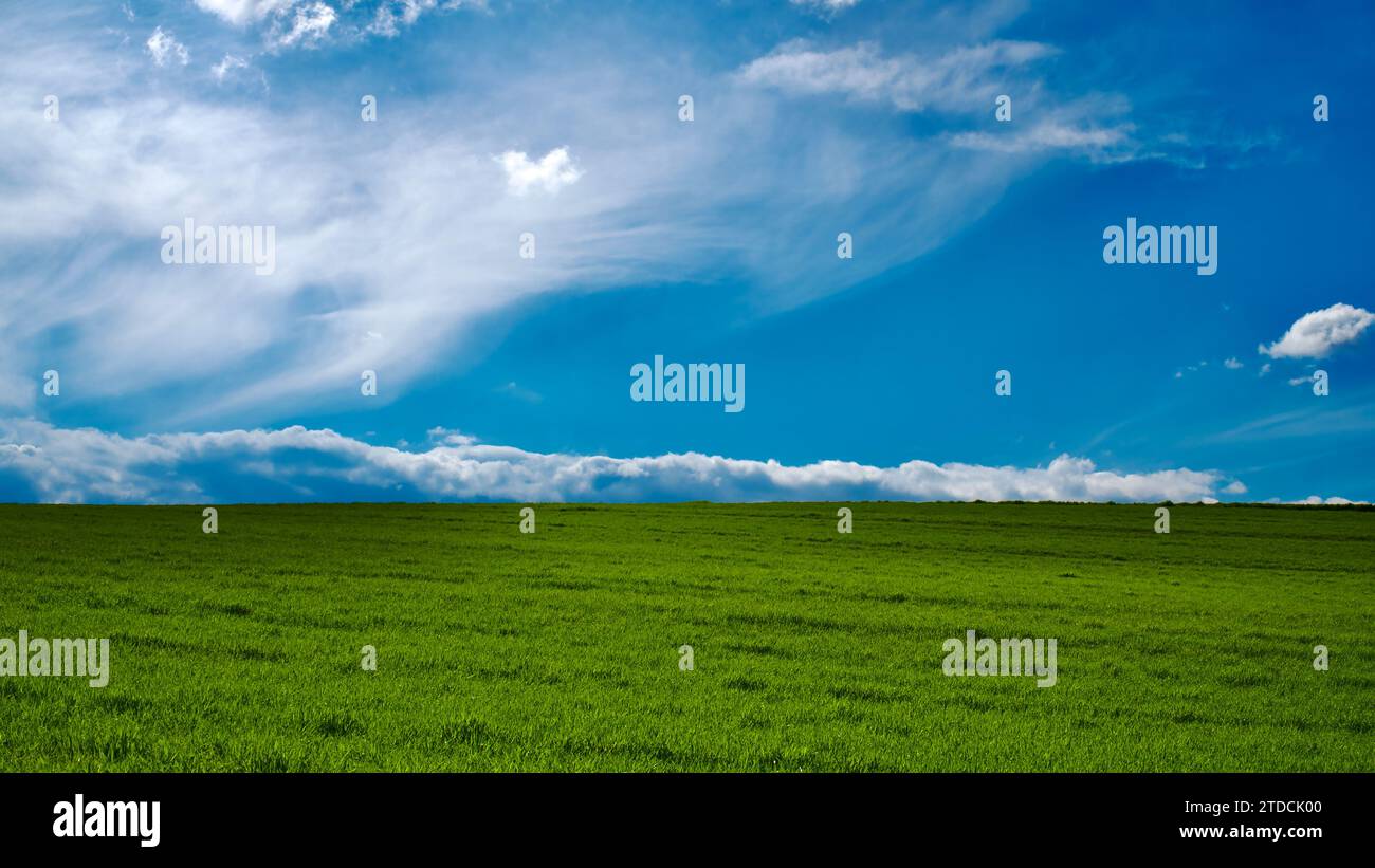 Harmonie der Farben in der Natur. Grüne Felder, gepflügtes Land und bewölkter blauer Himmel. Grünes Erntegut und Feldansicht im Frühjahr. Stockfoto