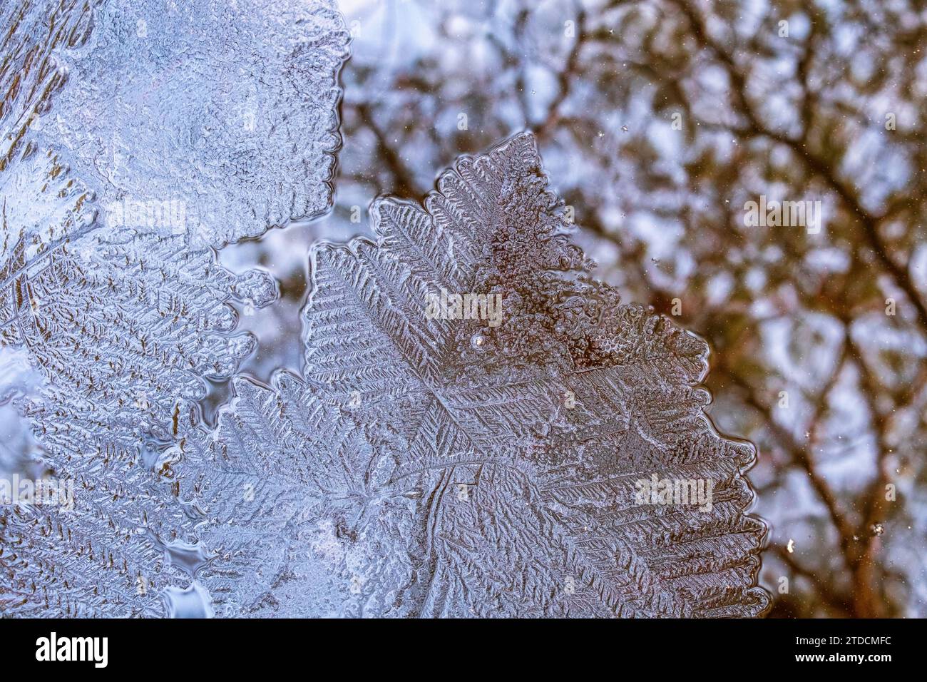 Wunderschön gemusterte Eiskristalle im Wasser Stockfoto