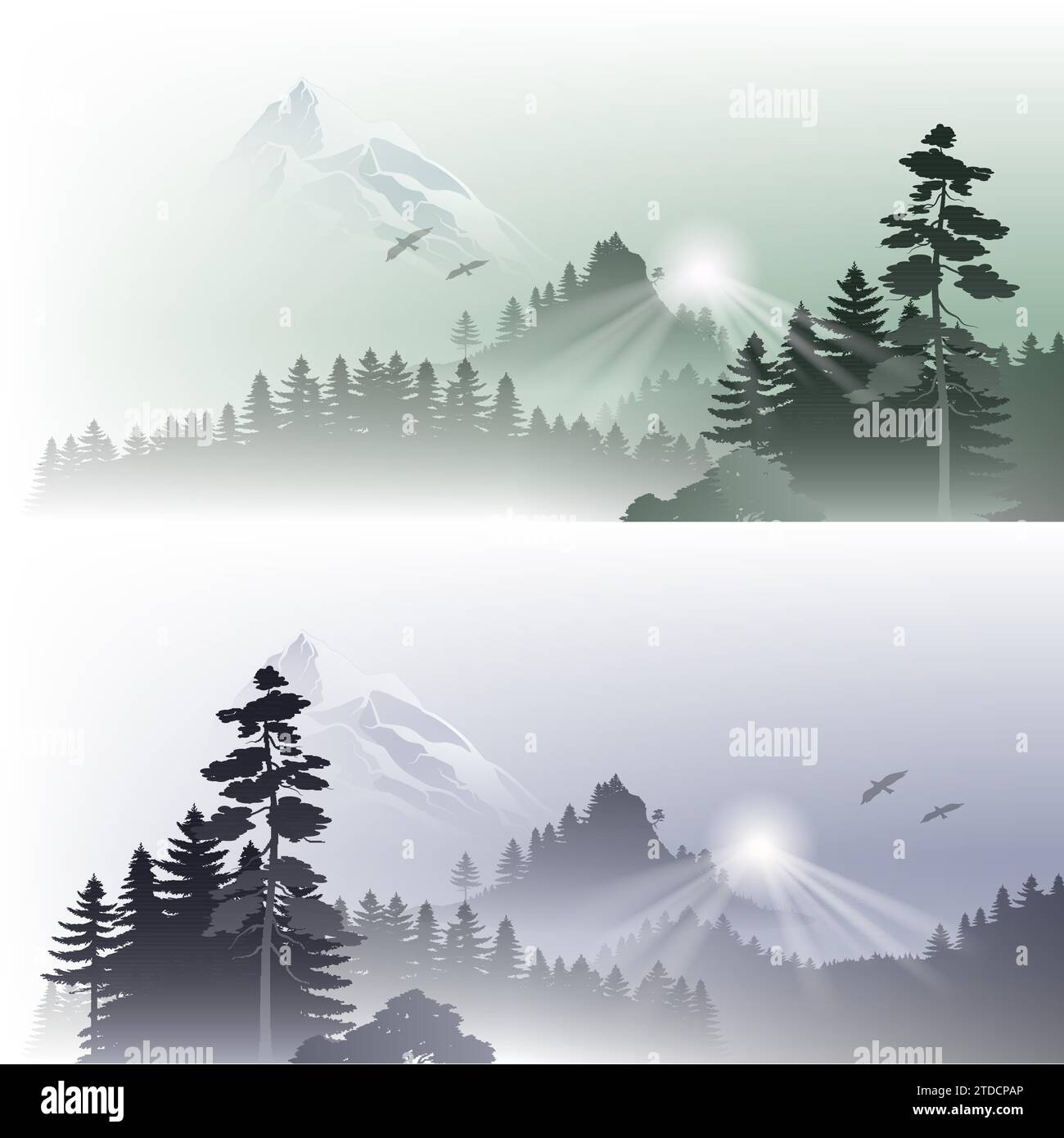 Landschaftsszene des Waldes mit Tannenbäumen vor dem Hintergrund der schneebedeckten Berge. Panorama der Silhouette Mountain Ridges mit Wald im Vordergrund, S Stock Vektor