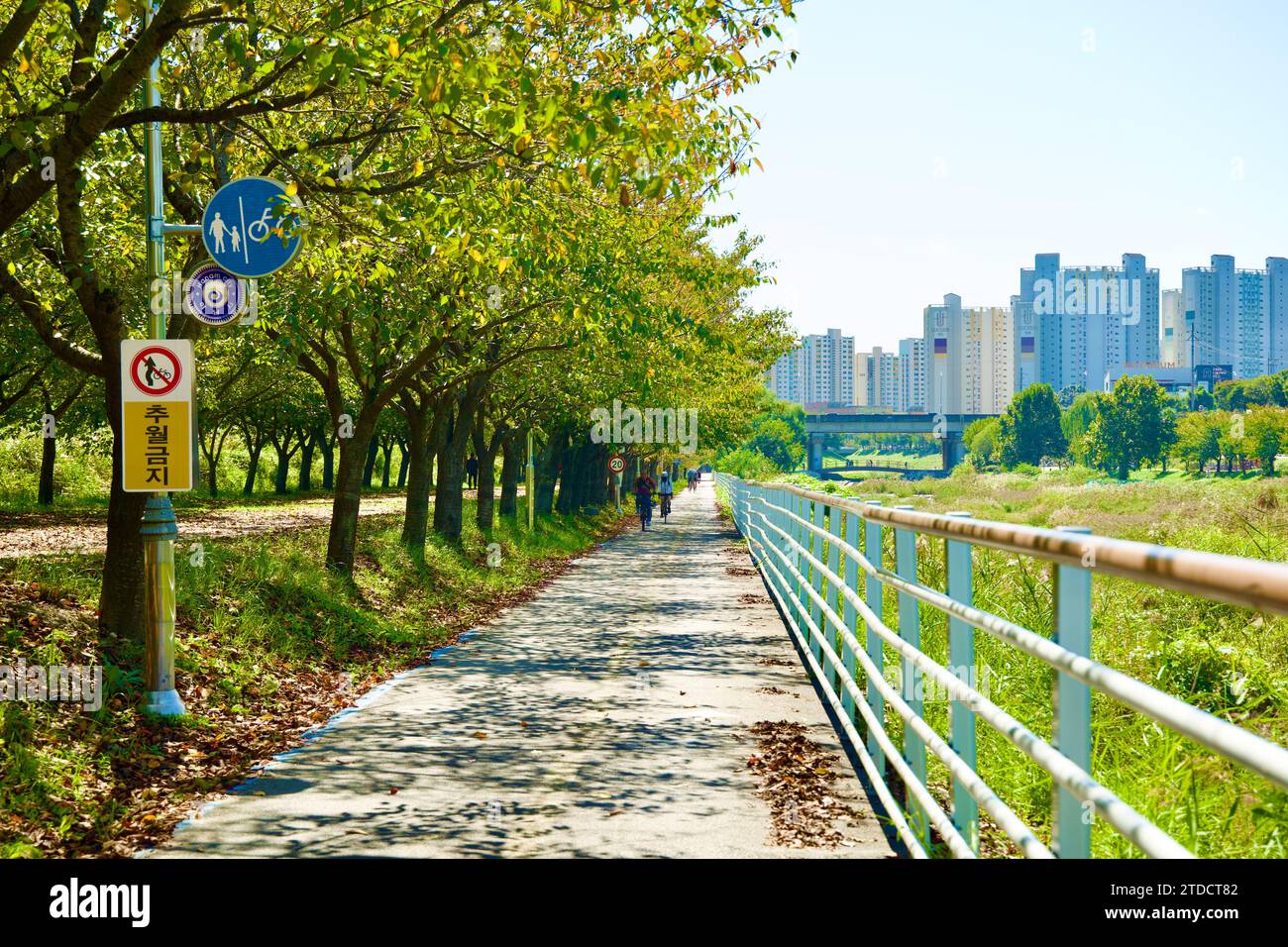 Hanam City, Südkorea - 1. Oktober 2023: Ein langer, gerader Radweg zieht sich in die Ferne, der von Bäumen auf einer Seite und einem Zaun auf der OT begrenzt wird Stockfoto