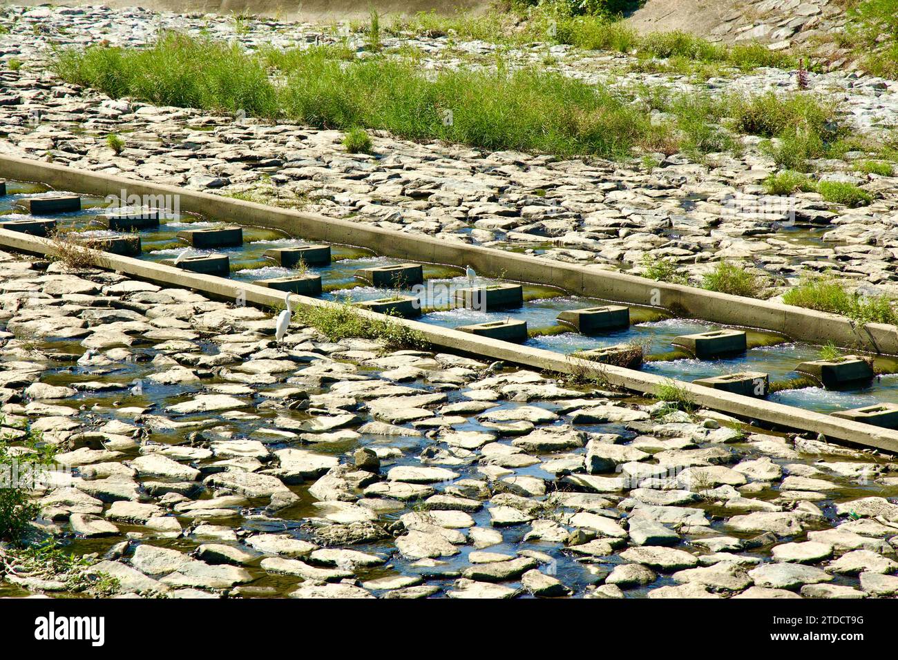 Hanam City, Südkorea - 1. Oktober 2023: Eine Fischleiter am Deokpung Stream, die in den Han River mündet, mit einem Vogel, der auf den Betonstufen thront, umgibt Stockfoto