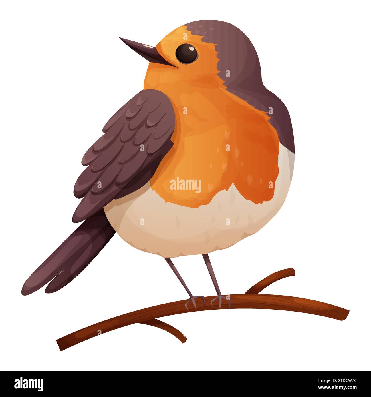 Robin Vogel niedlicher kleiner Vogel Charakter auf Zweig im Zeichentrickstil isoliert auf weißem Hintergrund. . Vektorabbildung Stock Vektor