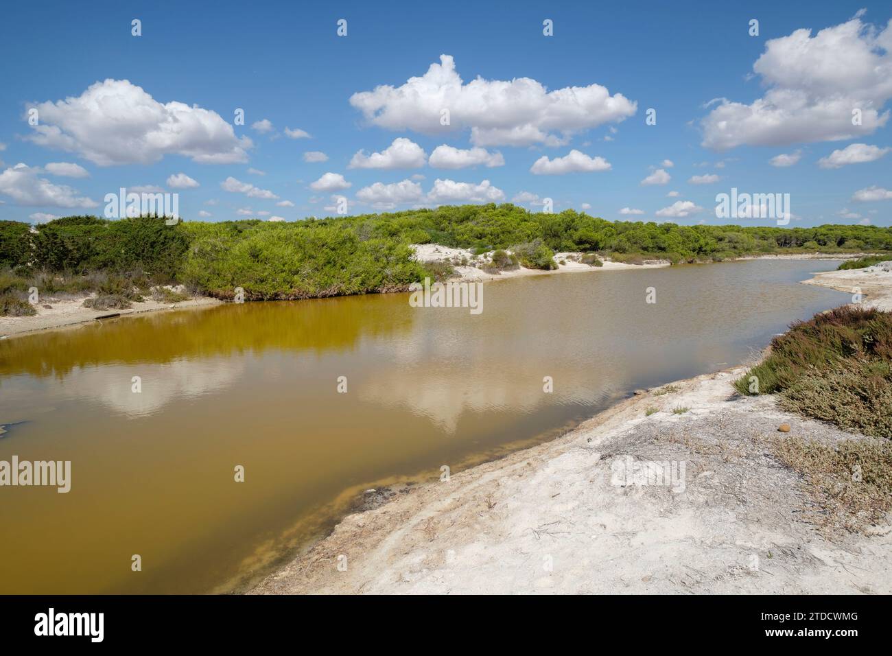 Salinas de Es Trenc, Es Trenc-Salobrar de Campos, Área Natural de Especial Interés, municipio de Campos, Mallorca, balearen, Spanien Stockfoto