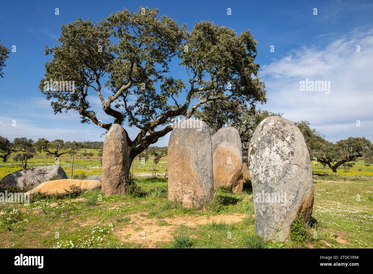 cromlech Vale Maria do Meio , Nossa Senhora da Graça do Divor ,Évora, Alentejo, Portugal Stockfoto